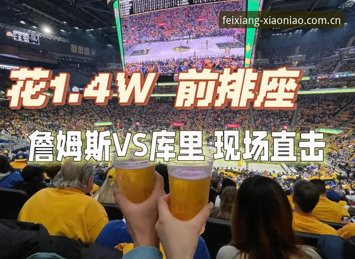 深度揭秘：小鸟体育数据分析如何颠覆你的观赛体验？