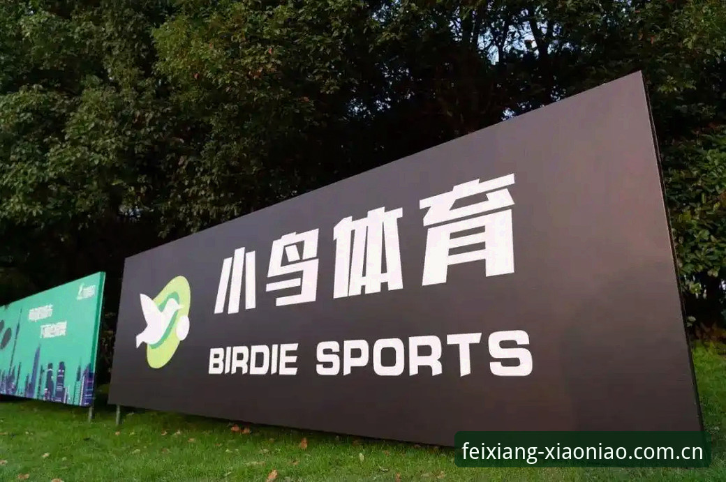 最新小鸟体育怎么下载 小鸟体育平台深度评测:从下载到实战,老用户的全方位体验报告
