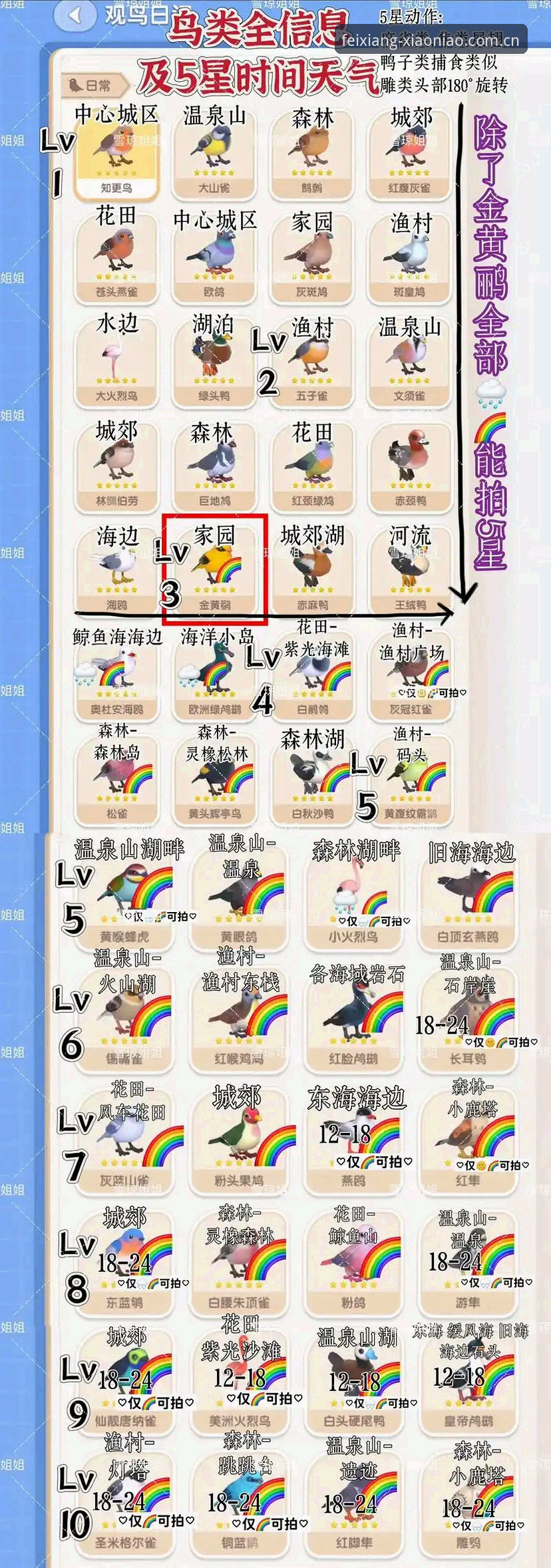 小鸟体育更新日志 世界杯观赛障碍与小鸟体育平台避坑操作指南