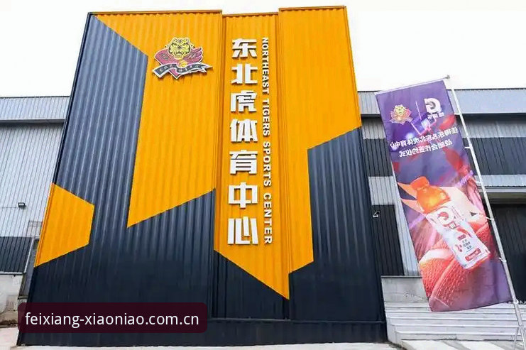 小鸟体育比赛回放深度评测——从观赛到分析的全方位体验报告